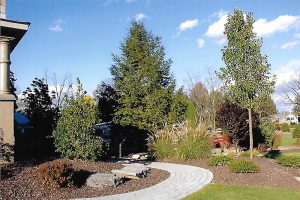 Paver Walk Way